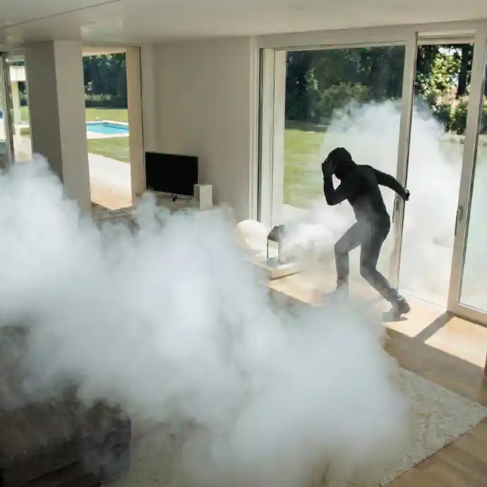 Cambrioleur stoppé net par le déclenchement un générateur de brouillard anti-intrusion dans un salon de maison
